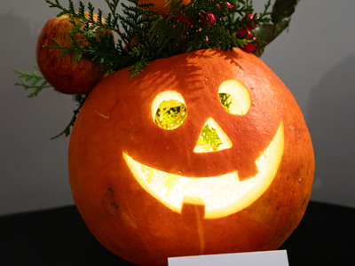 Public thumb img 8856