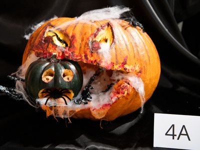 Public thumb img 8862