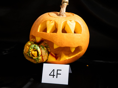 Public thumb img 8863