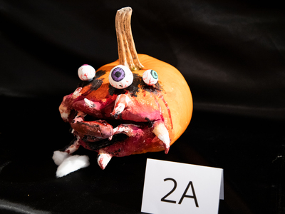 Public thumb img 8864