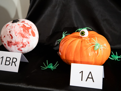 Public thumb img 8865