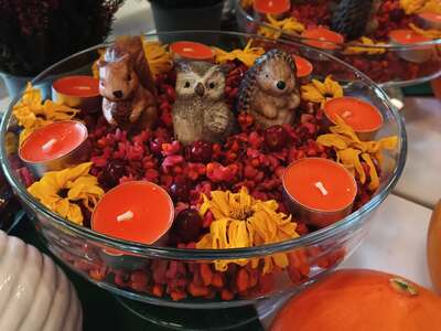 Public thumb 559494603 18391661518193945 5613738340515754120 n