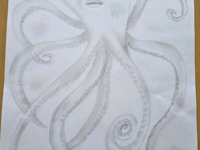 Public thumb 561818969 18392828215193945 7506114930775099790 n