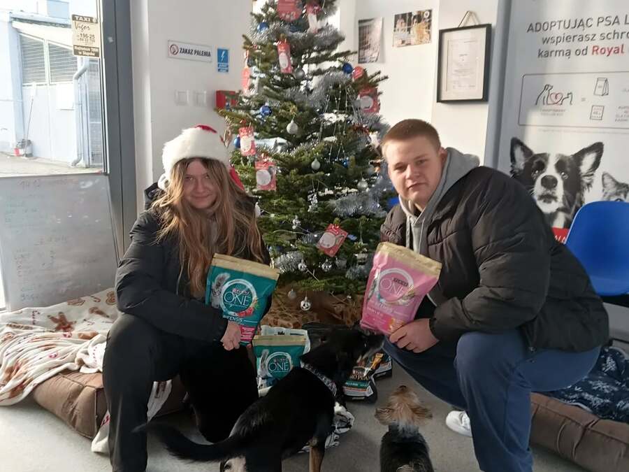 Display 602934864 18403115842193945 3545607265045973667 n