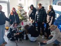 Thumb 602894854 18403223383193945 5621546109236272892 n